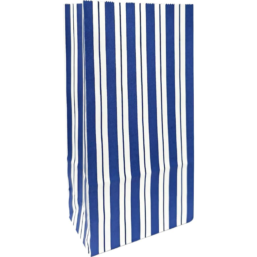 Whiz Pop Bang Paper Loot Bags  10pack