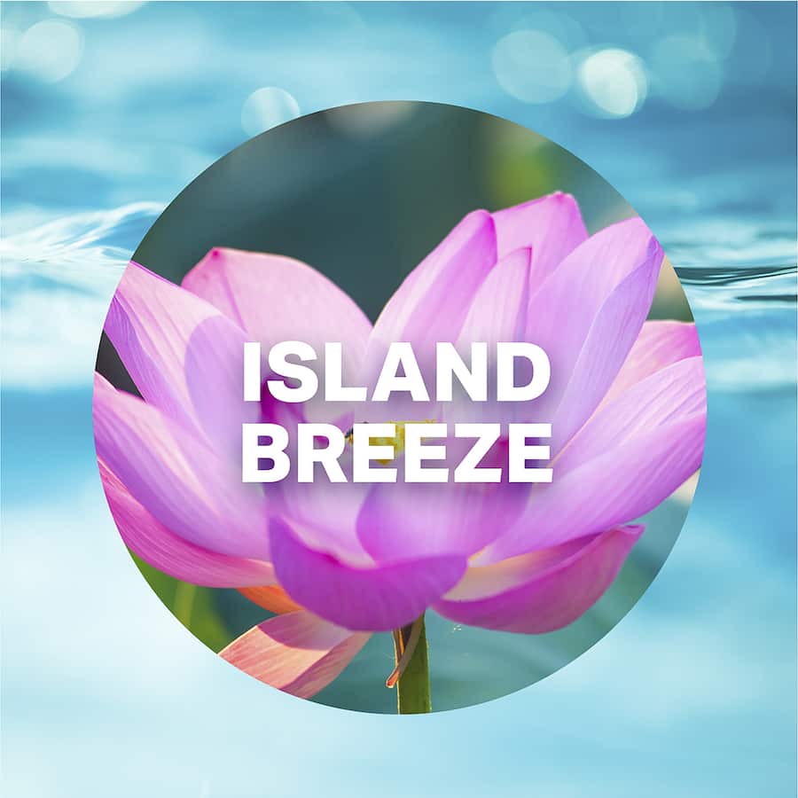 Air Wick Automatic Spray System Refill Island Breeze