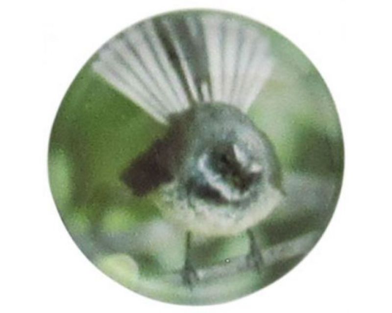 Handcrafted Snap REDFOX-Piwakawaka Fantail art piece showcasing New Zealand's vibrant fantail bird in stunning detail.