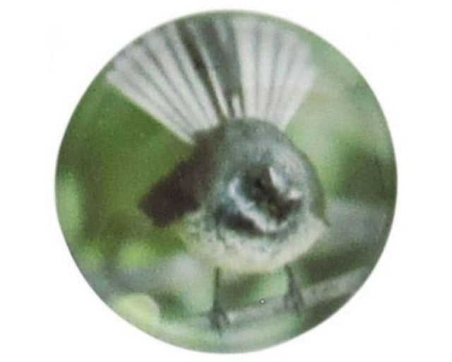 Handcrafted Snap REDFOX-Piwakawaka Fantail art piece showcasing New Zealand's vibrant fantail bird in stunning detail.