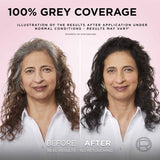 Loreal Excellence Hair Colour Darkest Brown 3