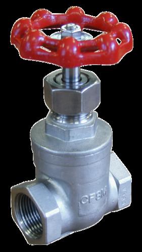 Stainless Steel Gate Valve 15mm BSPT