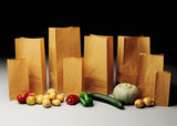 Detpak Small Checkout Paper Bag 300x260x135mm 250 (Case)