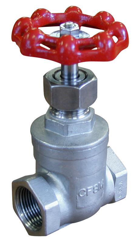 Stainless Steel Gate Valve 50mm BSPT