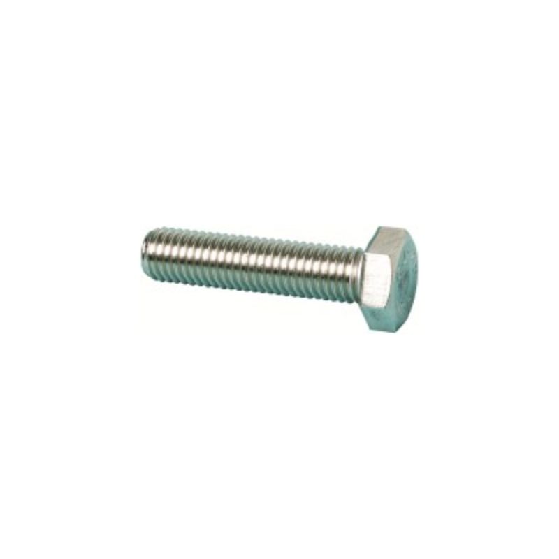 Screw Set SS304 - M5 x 12mm (50 Units)