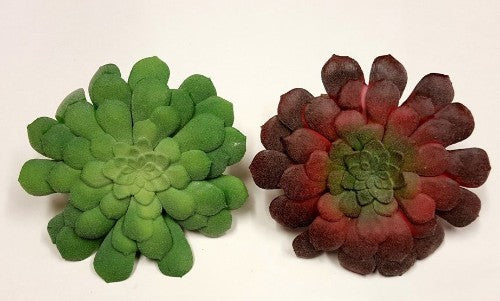 Succulent - Flat (Burgundy)
