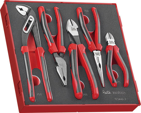 Teng 5pc plier set with ergonomic handles, durable steel, and colorful tray for organized storage and easy identification.