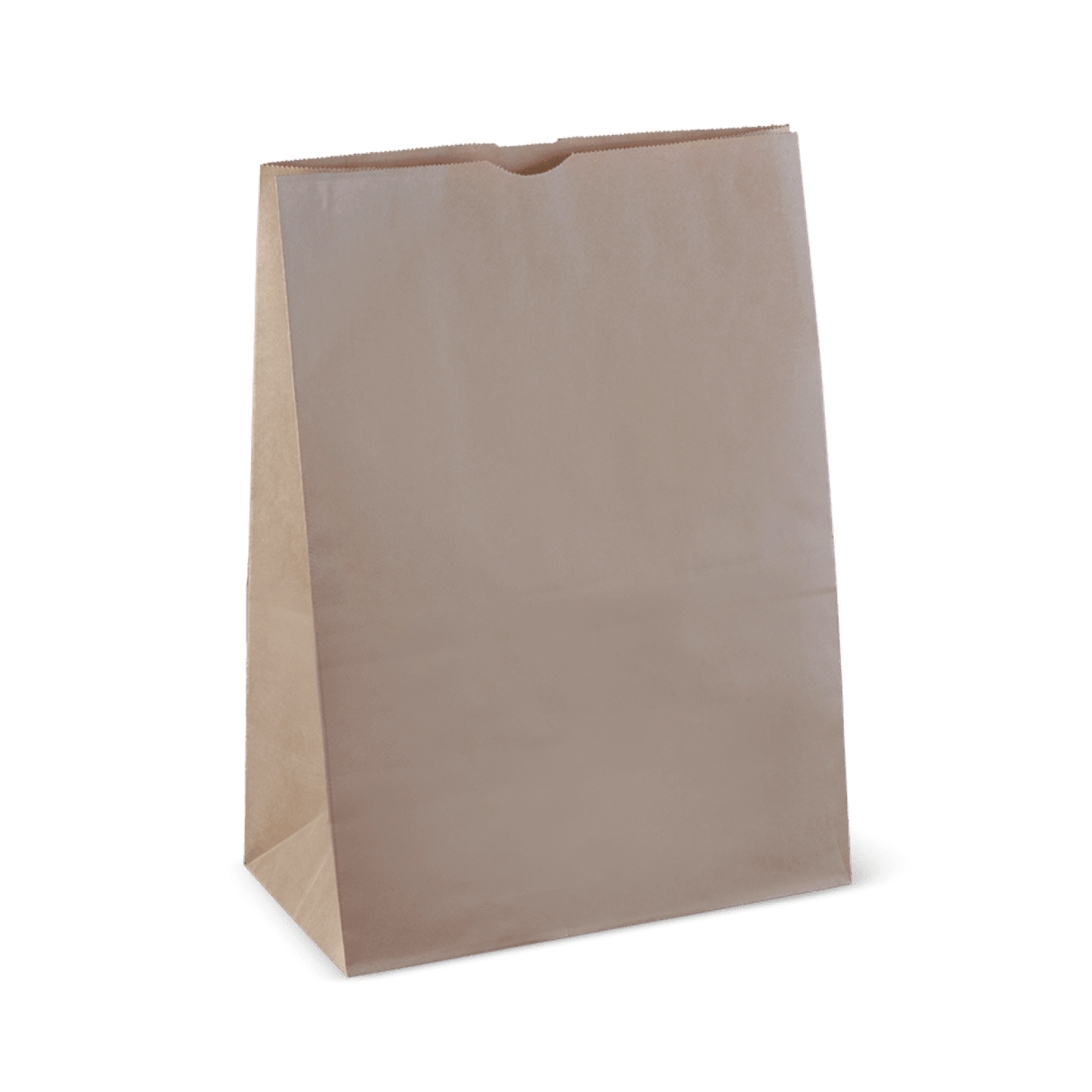 Detpak #20 Extra Large Paper Checkout Bag 305x175x430mm 250 (Case)