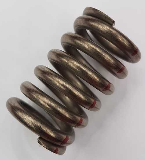 TLV DR20 Coil Spring 0.14 - 2 bar (Each)