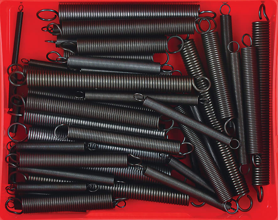 Champion Extension Spring Assortment 48 piece