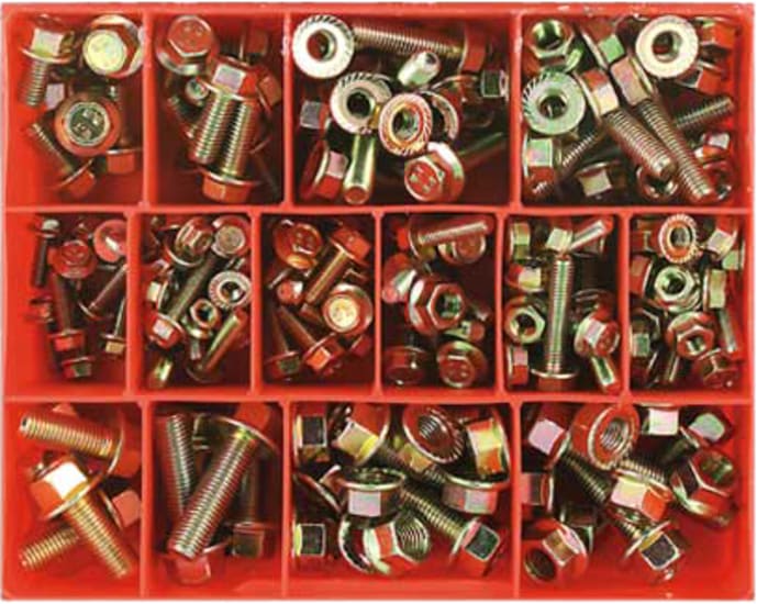 202-piece Champion flange head bolt and nut assortment in a clear case, ideal for automotive and home repair projects.