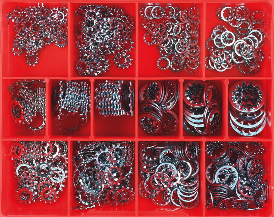Champion Internal/External Star Washer Assortment 500 piece