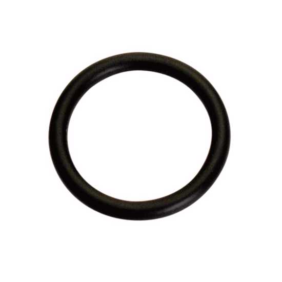 Champion 1/2in (I.D.) x 1/16in Imperial O-Ring-20 Pack (Packet)