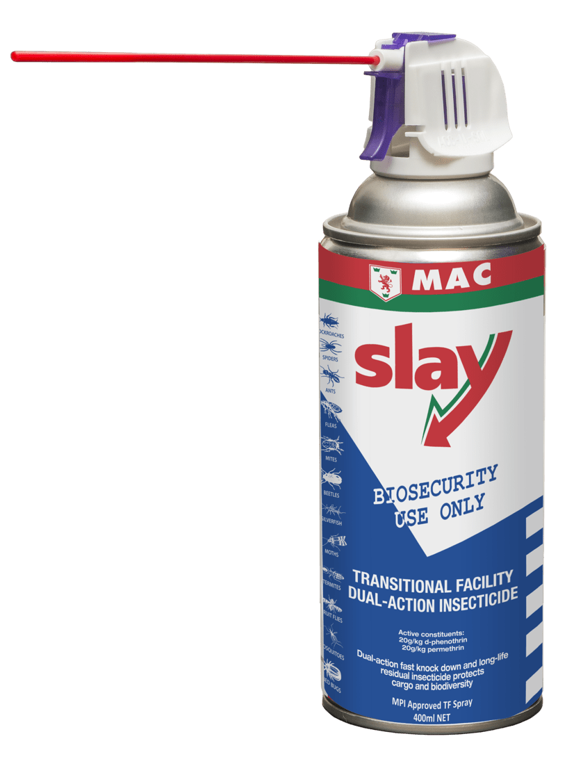 Slay Transitional Facility 400ml - MAC