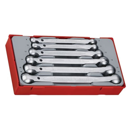 Six-piece Teng Double Flex-Head Metric Spanner Set in a tray, featuring swivel ends and chrome vanadium steel for durability.