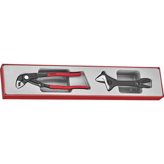 Teng 2pc Plier/Adjustable Wrench Set in TEX-Tray, featuring quick adjustable plier and versatile 'Alligator' wrench for efficient tool use.