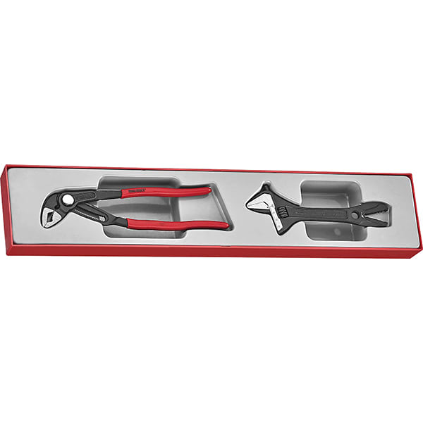 Teng 2pc Plier/Adjustable Wrench Set - TEX-Tray