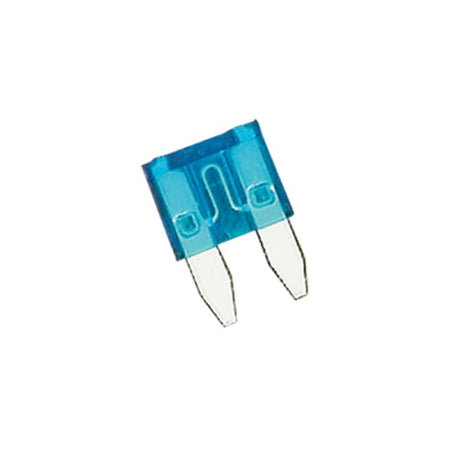 Blue Champion 15Amp mini blade fuse packet designed for automotive protection against overload and short circuits.