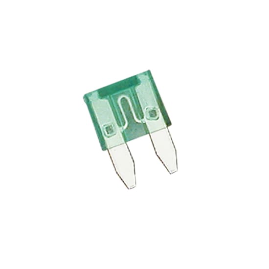 Green Champion 30Amp Mini Blade Fuse packet for reliable vehicle circuit protection and easy installation.