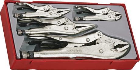 Teng 5pc Power Grip Plier Set in TC-Tray, featuring versatile pliers for gripping, cutting, and precision tasks in a compact organizer.