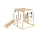 Large Climbing Gym Set - Classic World
