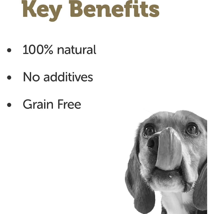 Applaws Wet Dog Food Chicken Bone Broth & Turmeric Pouch 200g