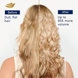 Dove Conditioner Daily Care 350mL