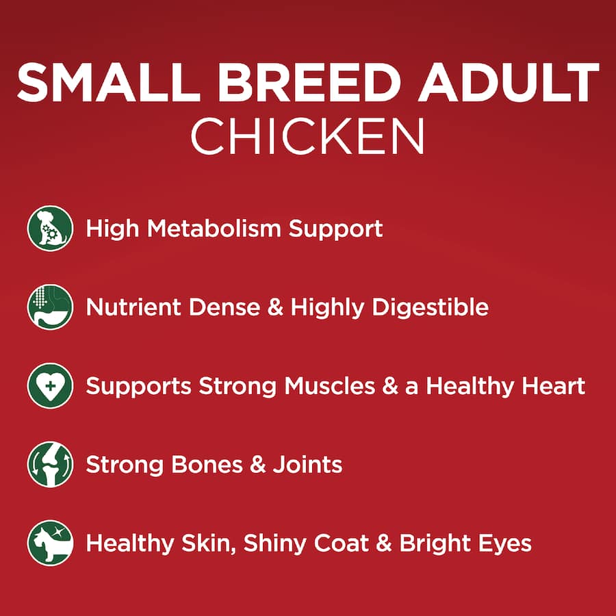 Purina One Small Breed Adult Dry Dog Food Chicken Bag 2.5kg