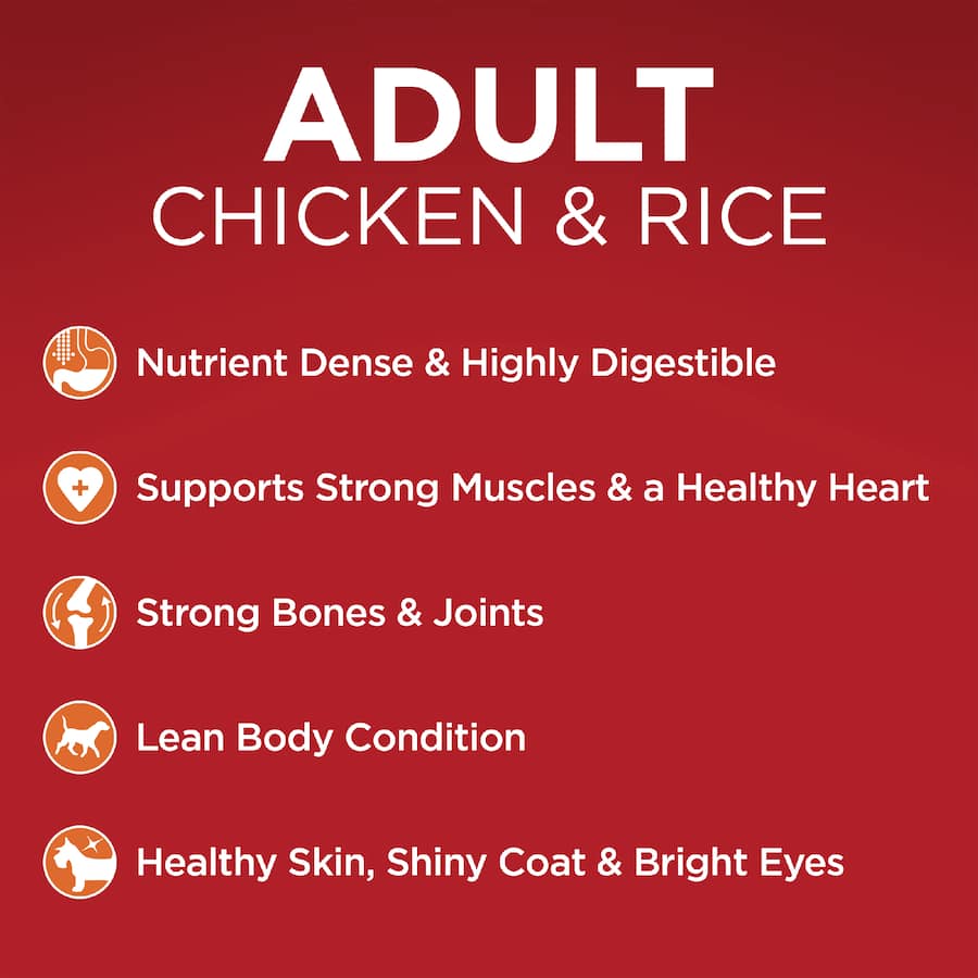 Purina One Adult Dry Dog Food Chicken & Rice Bag 6kg