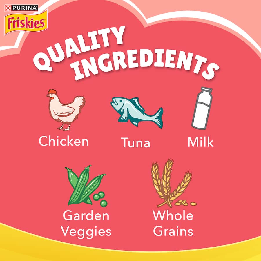 Friskies Kitten Dry Cat Food Discoveries 700g