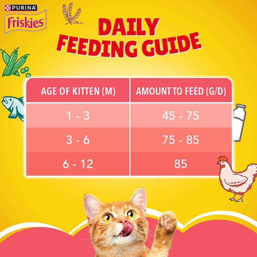 Friskies Kitten Dry Cat Food Discoveries 700g