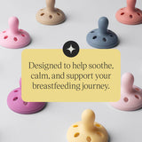 Tommee Tippee Soother Breast-like Assorted 6-18m - 2 pack