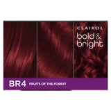 Clairol Bold & Bright Hair Colour Fruits Of The Forest Br4 1pack