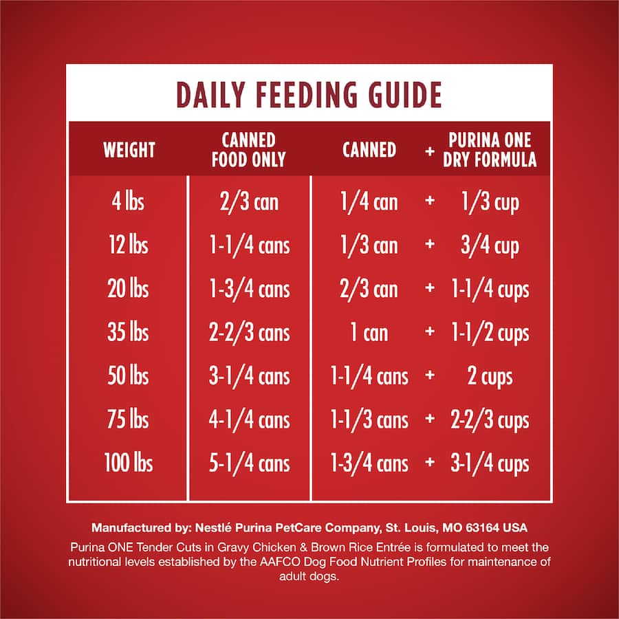 Purina One Wet Dog Food Tender Cuts Chicken In Gravy Can 368g