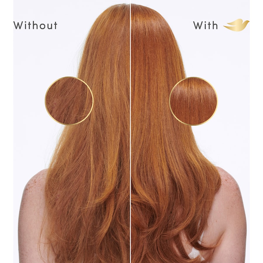 Dove Shampoo Nourishing Boost + Hyaluron 350mL
