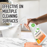 Earthwise Antibacterial Cleaning Spray Orange & Eucalyptus 500mL