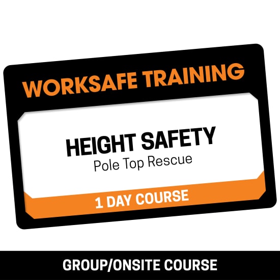 Training Pole Top Rescue course image, featuring trainees learning essential rescue skills for pole-like structures.