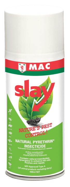 Slay Natural 400ml - MAC