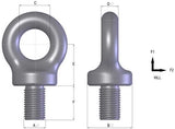 Eyebolt D/F Black BSW 5/8" 0.80T WLL