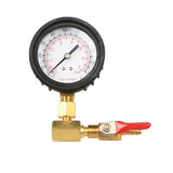 Toledo Fuel Pressure Test Kit - Fuel Injection