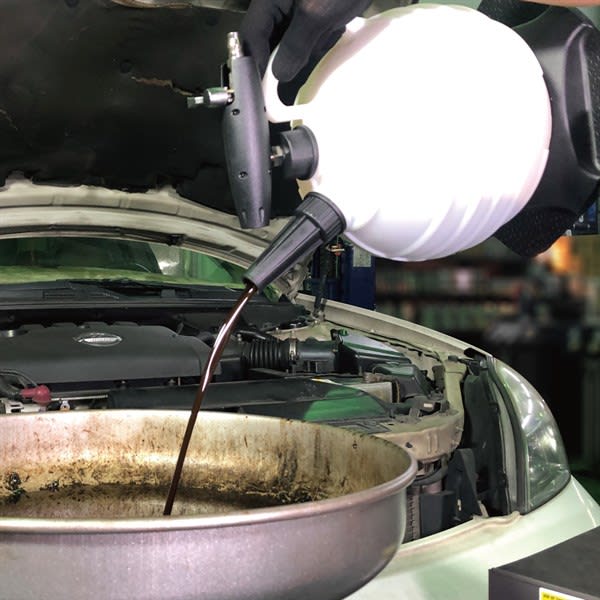Toledo Pneumatic Automotive Fluid Extractor 6L