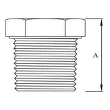 Stainless Steel Hex Plug BSP 1/2"