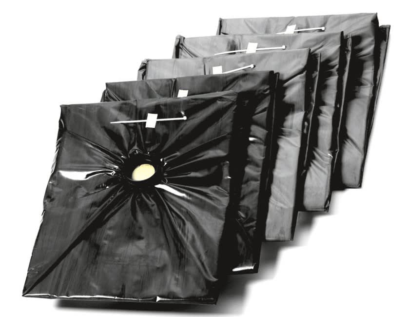 Nilfisk Safety Filter Bags Pack of 5