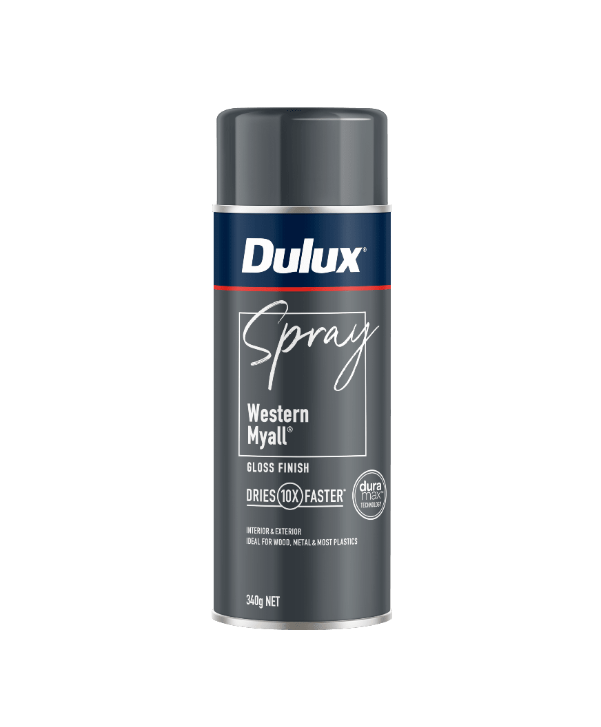 Dulux Gloss Western Myall Spray Paint 340g Each