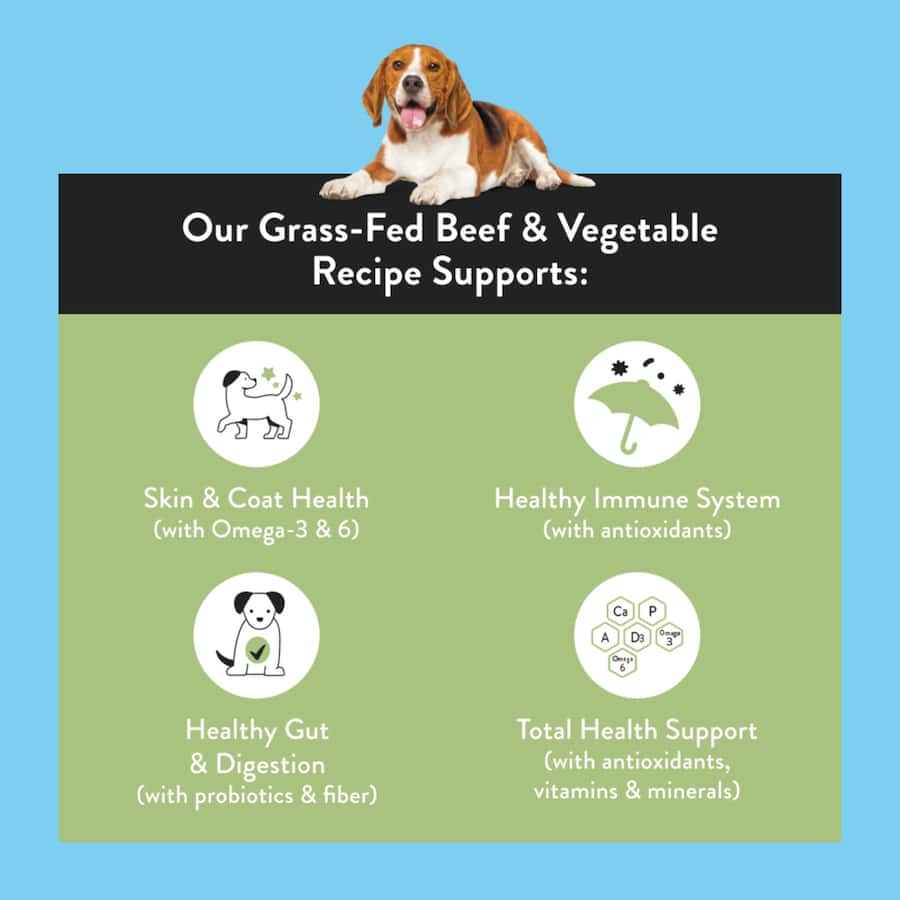 Nood Dry Dog Food Grass Fed Beef Recipe  - Smartfox