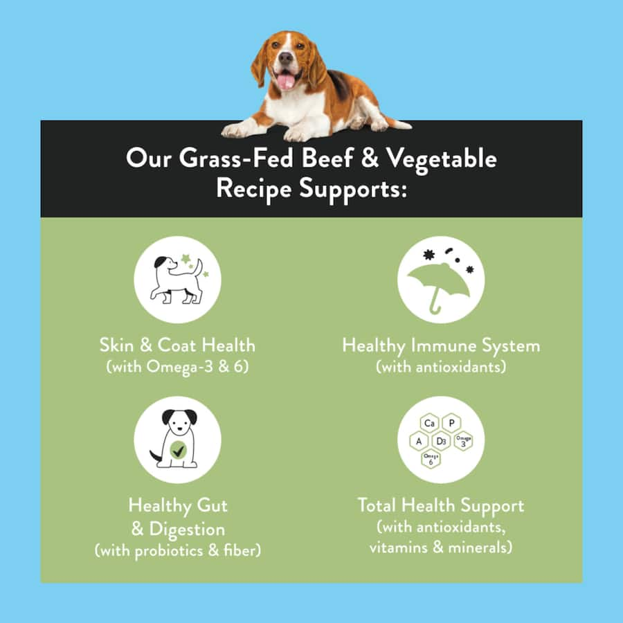 Nood Dry Dog Food Grass Fed Beef Recipe