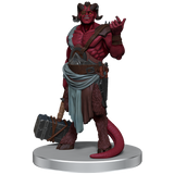 Critical Role NPCs of Exandria - Set 1