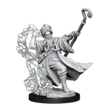 D&D Frameworks Human Wizard Male