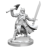 D&D Frameworks Half-Elf Ranger Male