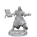 Pathfinder Legendary Cuts Human Wizard Male
